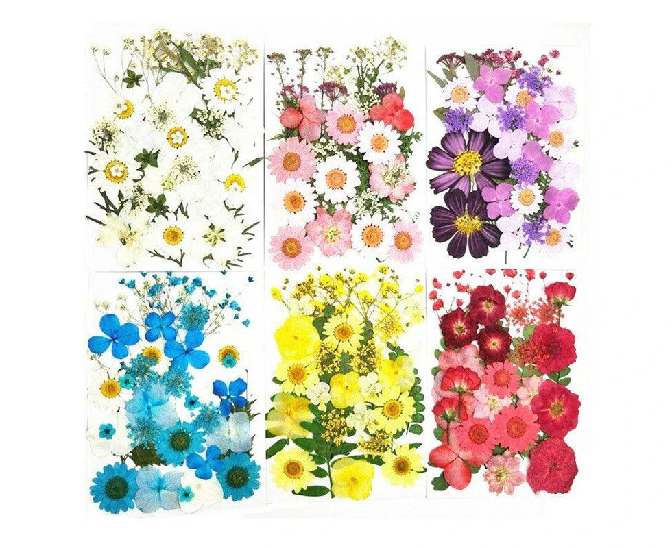 12-35Pcs Real Dried & Pressed Flowers Leaves for Art and Craft