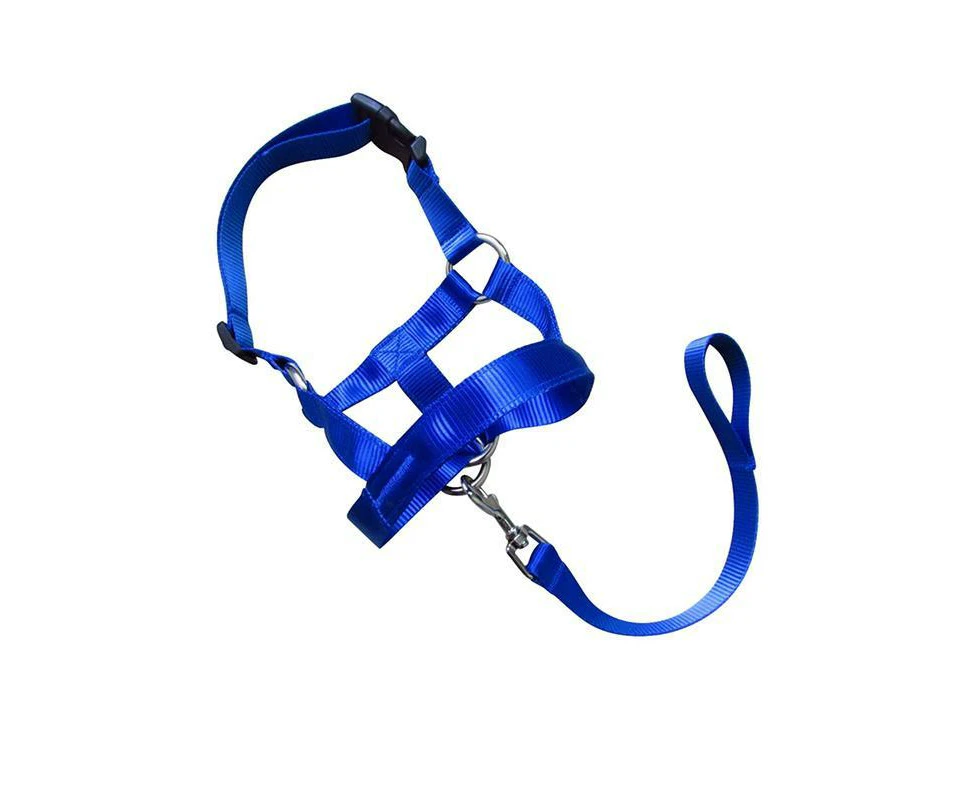 Dog Training Muzzle Blue