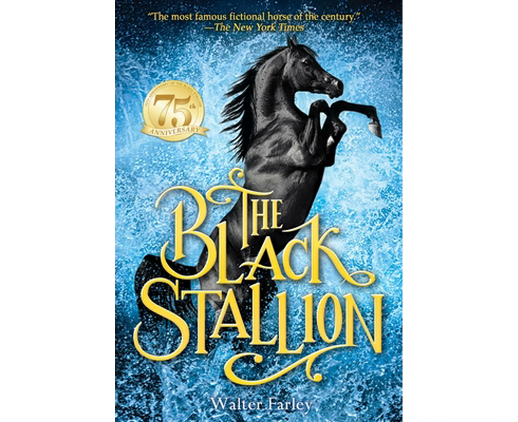 The Black Stallion