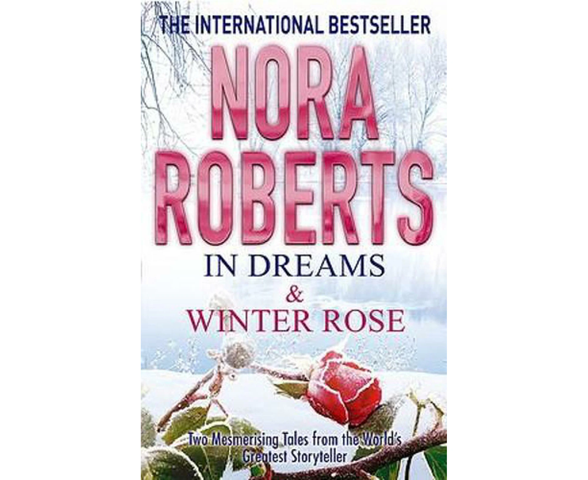 In Dreams & Winter Rose