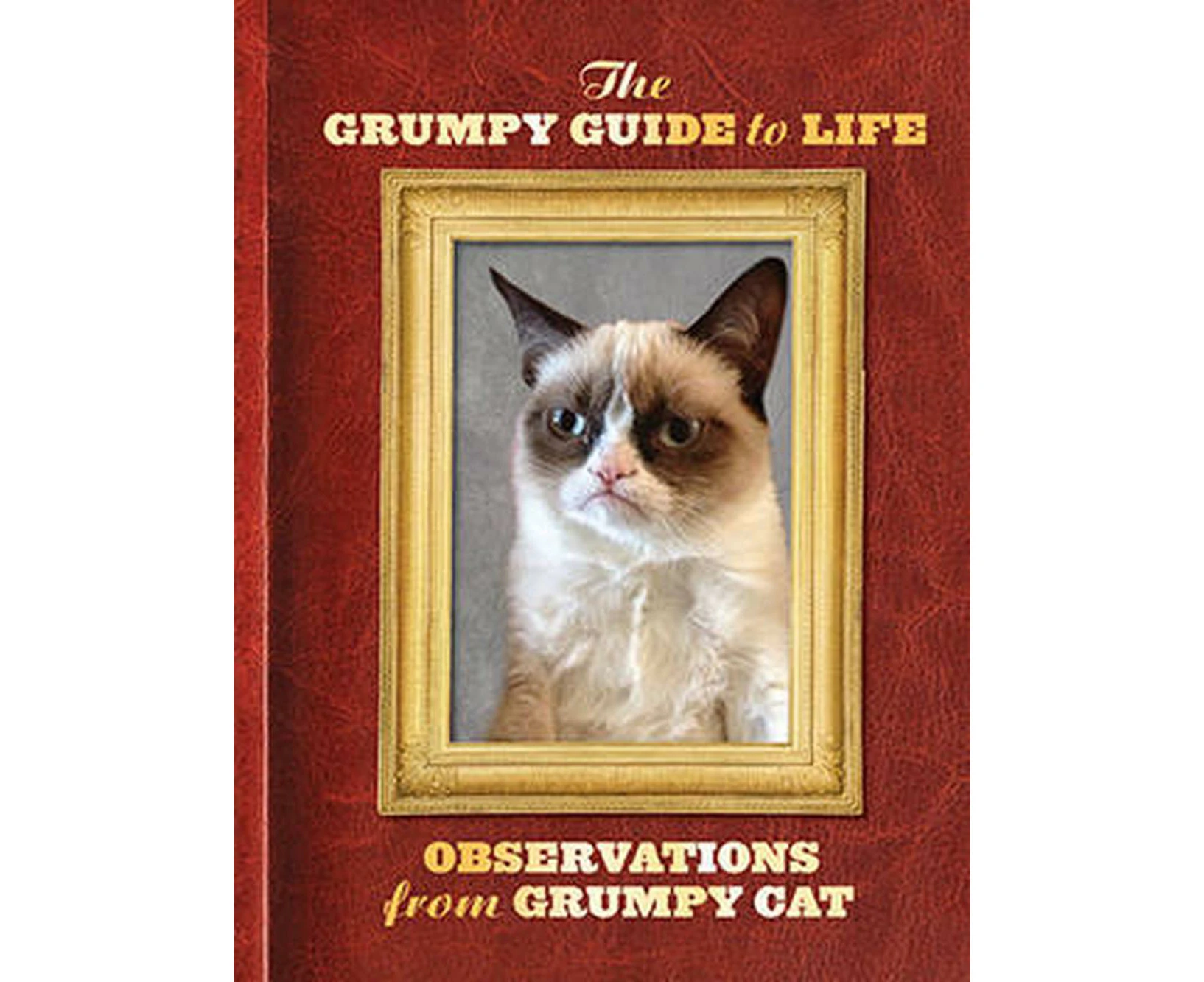 The Grumpy Guide to Life: Observations from Grumpy Cat