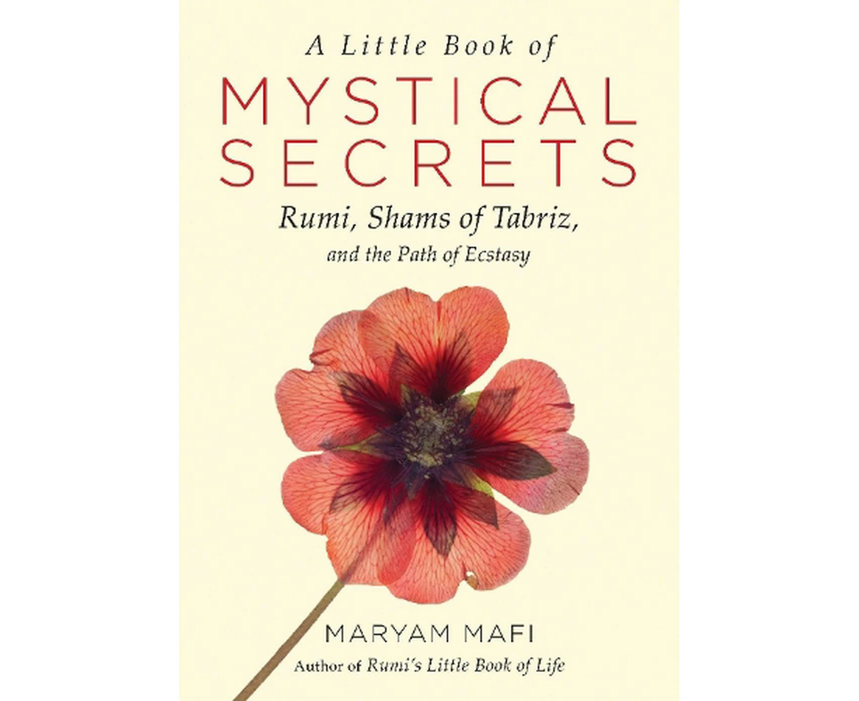 A Little Book of Mystical Secrets