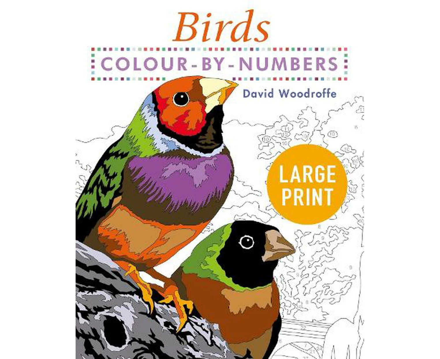 Large Print Colour by Numbers Birds