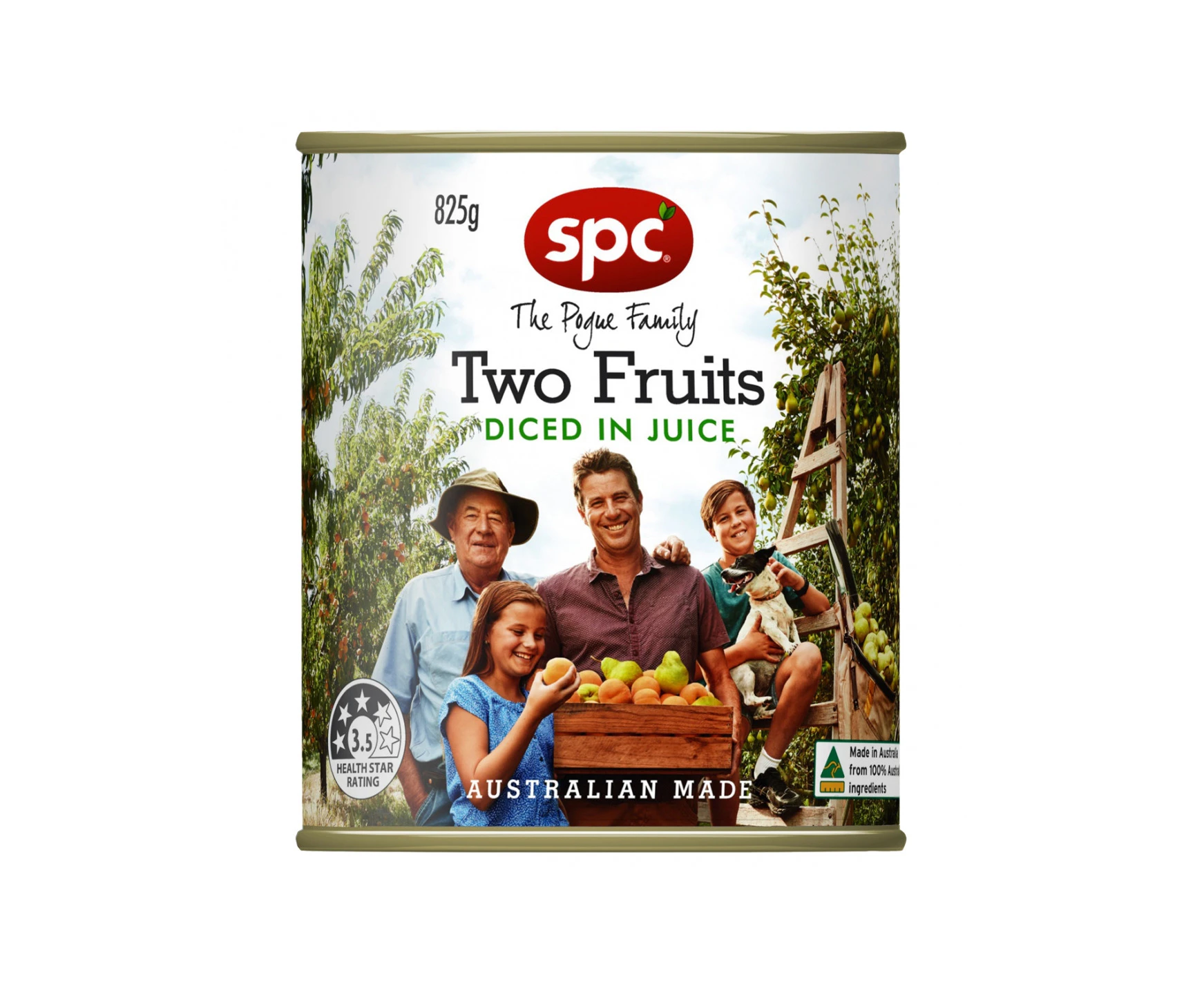 Spc Ardmona Two Fruits In Natural Juice 3kg x 1