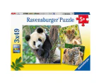 3x49pc Ravensburger Panda Lion and Tiger Theme Jigsaw Kids/Childrens Puzzle 5Y+