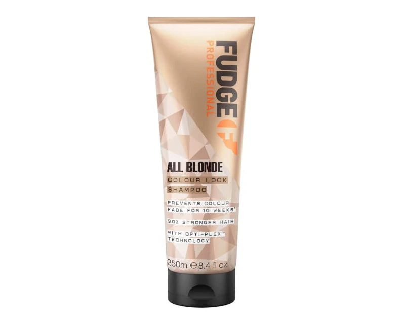 Fudge Professional All Blonde Colour Lock Shampoo