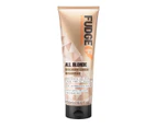 Fudge Professional All Blonde Colour Lock Shampoo