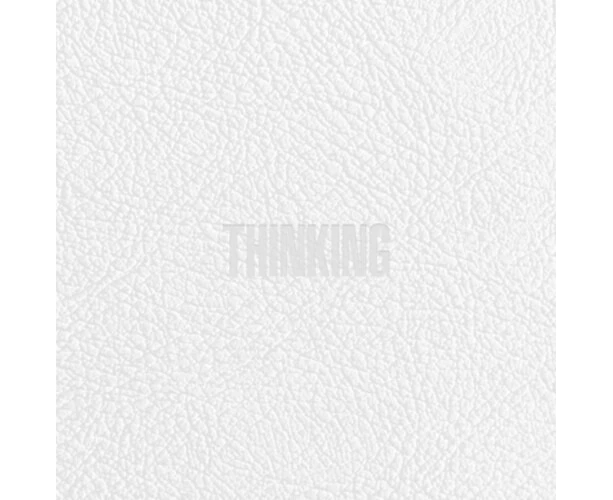 Zico - Thinking (incl. 112pg Phootbook, 2 x Postcard + 2 x Sticker)  [COMPACT DISCS] Postcard, Photo Book, Stickers, Asia - USA import