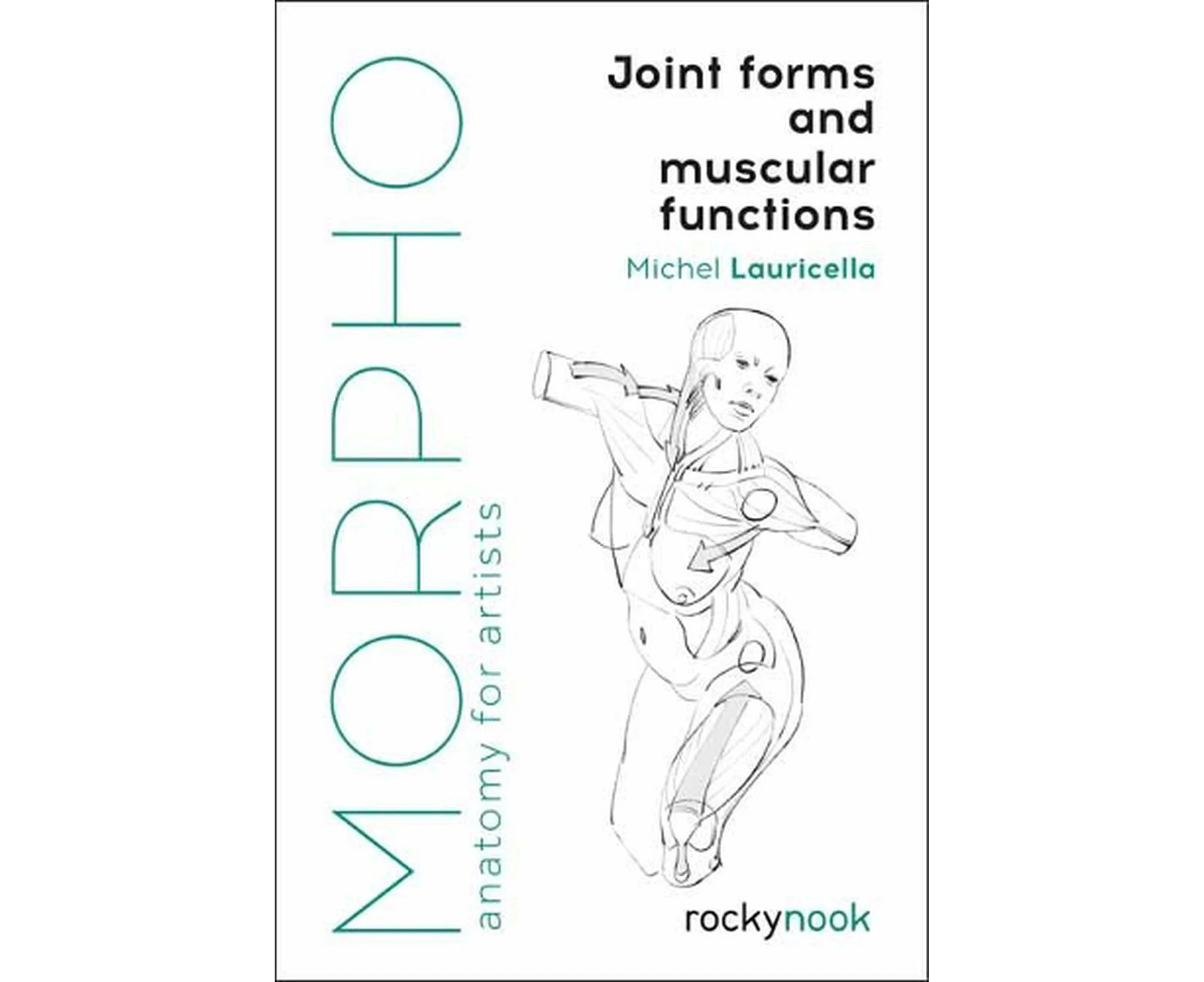 Morpho: Joint Forms and Muscular Functions