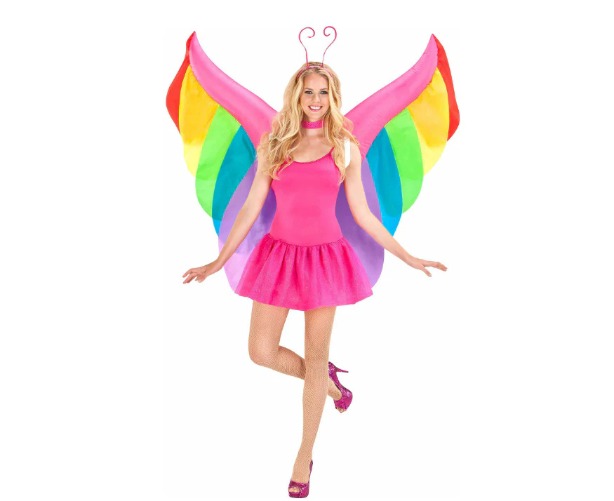 Adult Rainbow Butterfly Fairy Wings Costume