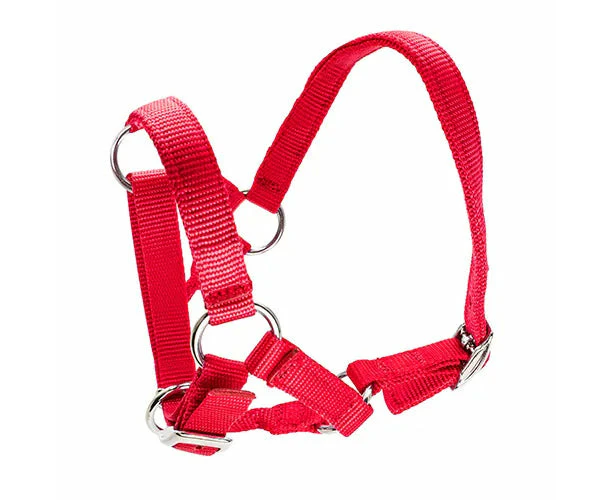 Alpaca Halter - Red