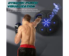 ProPulse Smart Punching Boxing Electronic Music Machine Bluetooth Home Training