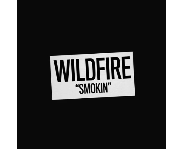 Wildfire - Smokin'  [COMPACT DISCS] USA import