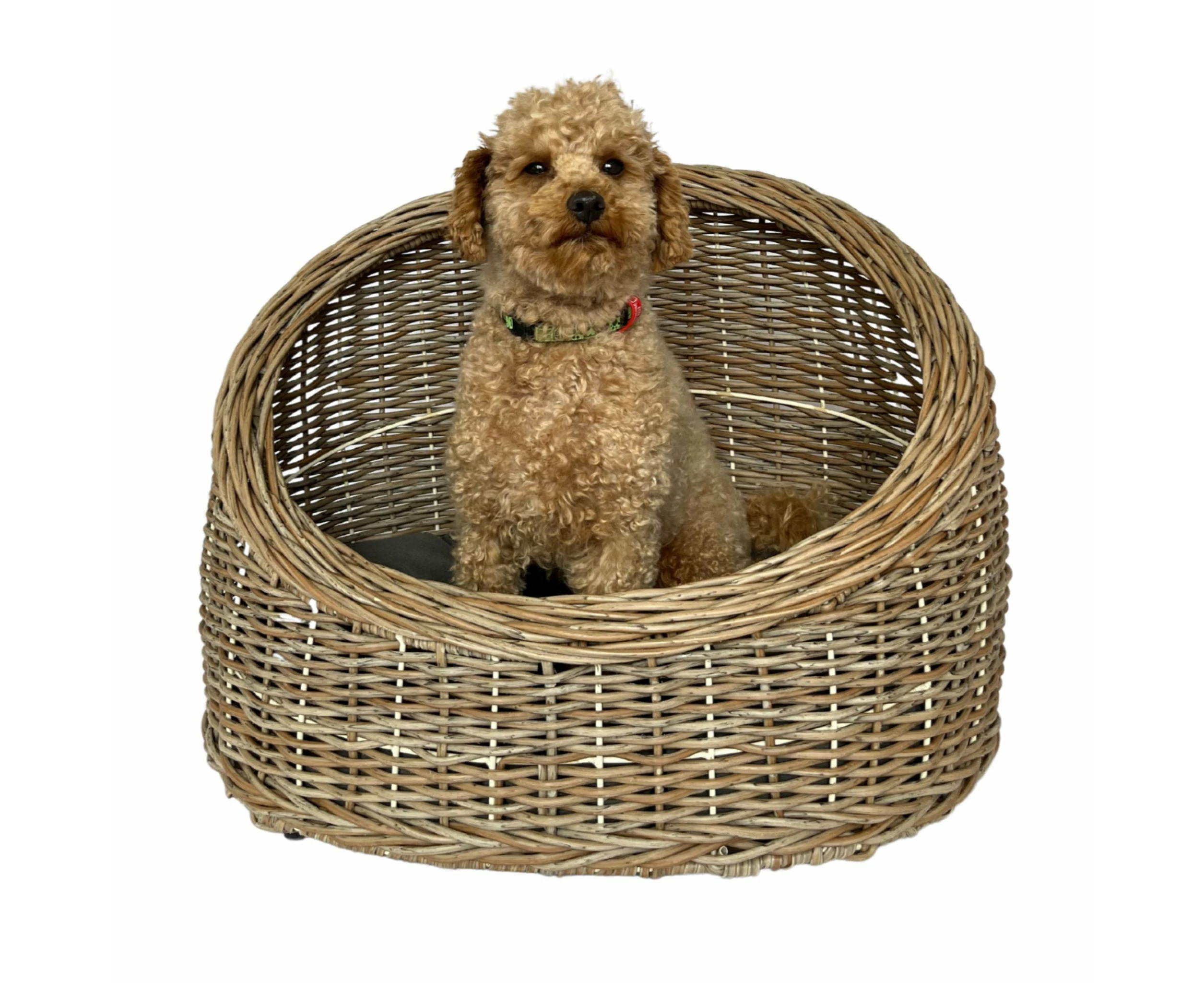 BELLA Pet Basket Bed for Small Cat & Dog- Light Brown