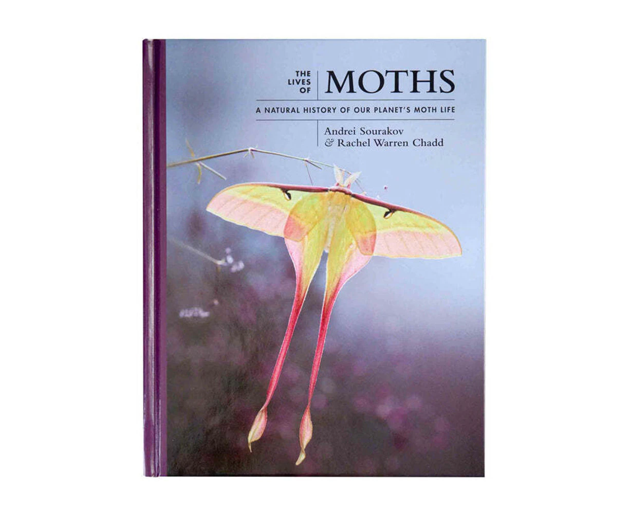 Magabala Books The Lives of Moths By Andrei Sourakov/Rachel Warren Chadd Book