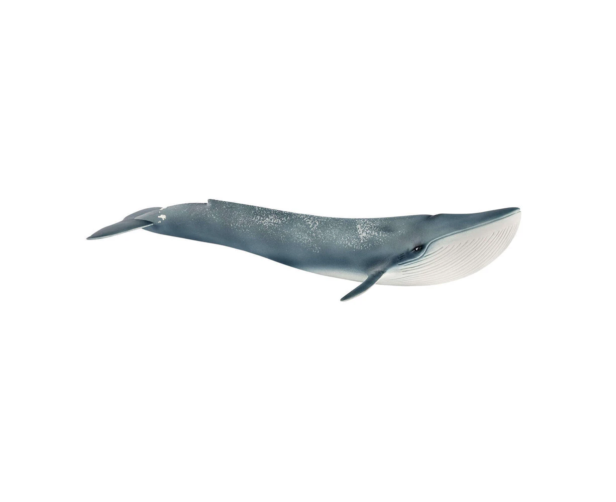 Schleich 10.8'' Blue Whale Animal Action Figure/Figurine Kids Play Toy 3-8y