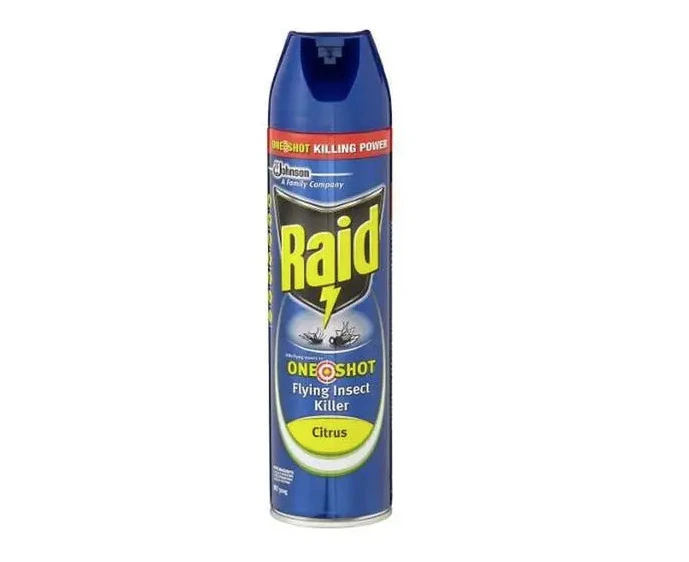 Raid One Shot 320g Flying Insect Killer Fly Spray - Citrus