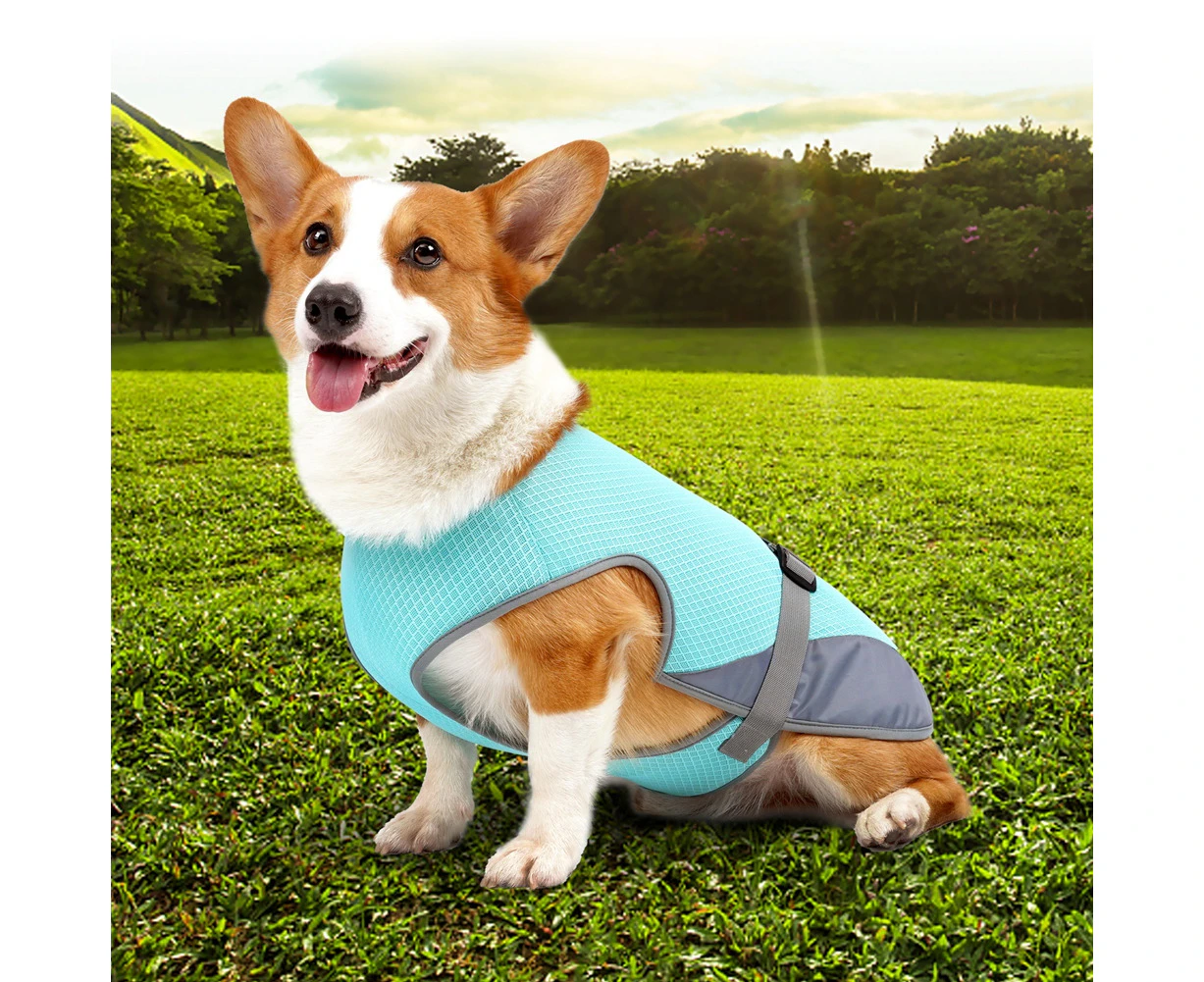 Dog Cooling Vest Breathable Mesh Dog Jacket Summer Cool and Comfortable Dog Coat Adjustable with Reflective Strip Pet Clothes - blue - XL