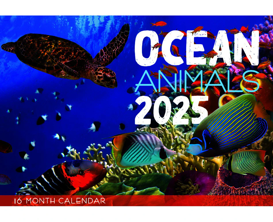 Ocean Animals - 2025 Rectangle Wall Calendar 16 Months by Design Group