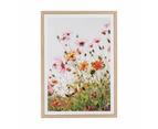 Poppies Framed Print - Anko