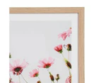 Poppies Framed Print - Anko