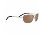 Serengeti Shelton SS547005 Matte Light Gold / Drivers Photochromic Lenses