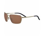 Serengeti Shelton SS547005 Matte Light Gold / Drivers Photochromic Lenses