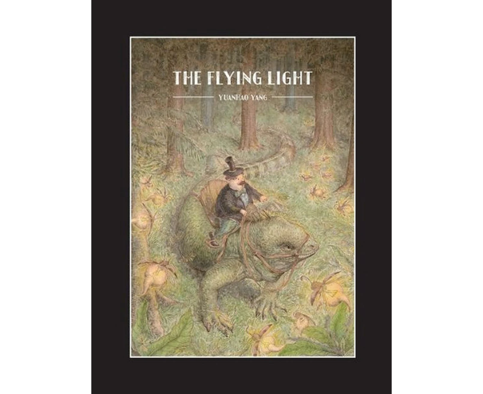 The Flying Light