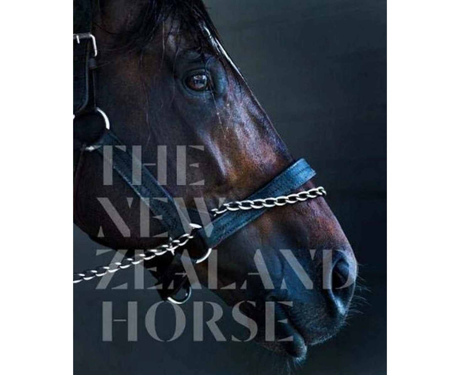 The New Zealand Horse