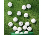 Everfit 24pcs Golf Ball Set Reusable Distance Golf Balls Practice Training