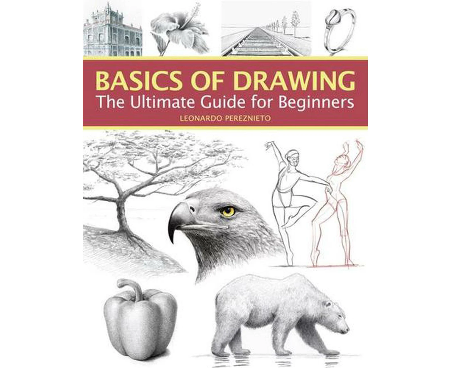 Basics of Drawing