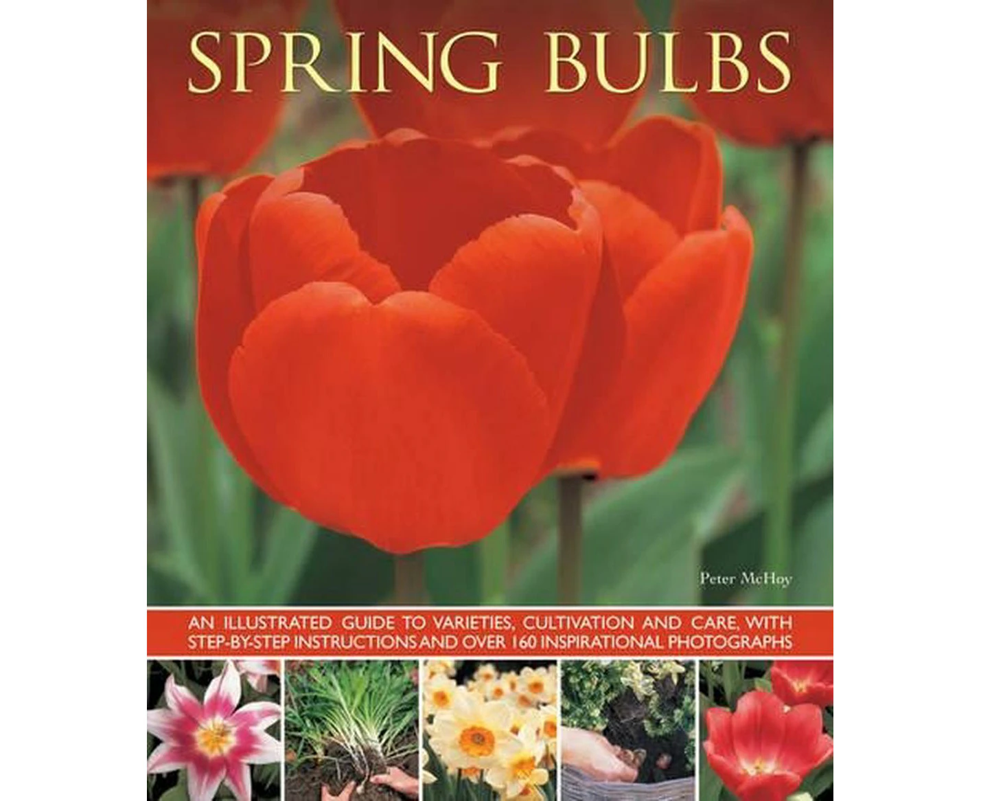 Spring Bulbs