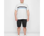 Target Plus Striped Polo Shirt - Grey