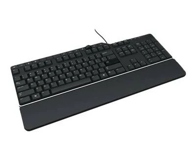 DELL KB522 WIRED BUSINESS MULTIMEDIA KEYBOARD (BLACK), 1YR