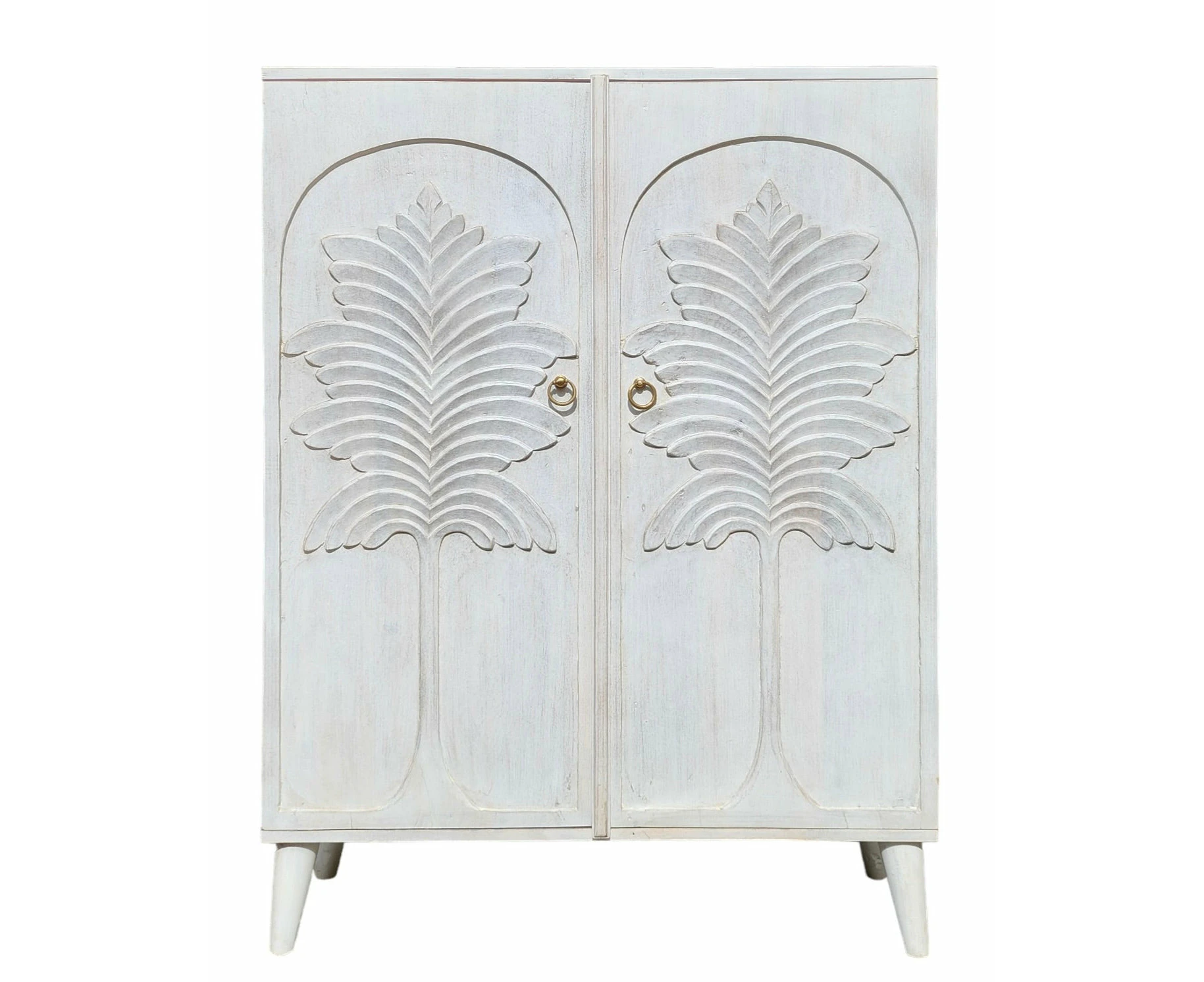 Palm 2 Door Narrow Cabinet