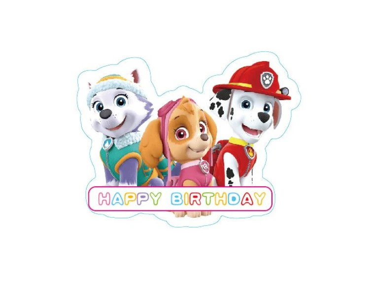 Girls Paw Patrol Birthday Cake Topper Birthday Decorations Party Supplies