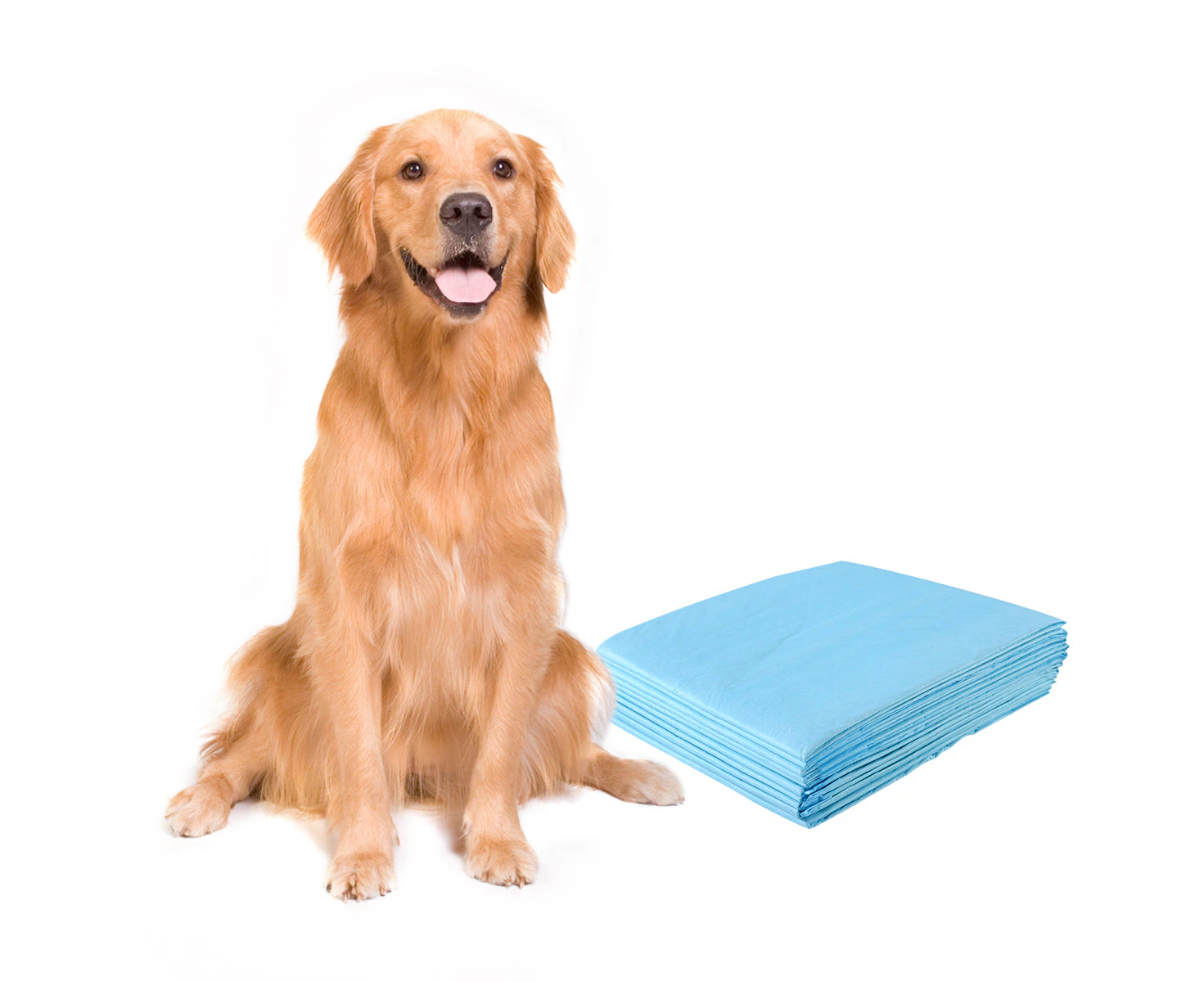 100PCS Pet Training Pads 75 x 90cm Puppy Toilet Mats Super Absorbent Dog Cat Toilet Indoor