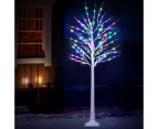 Jingle Jollys Christmas Tree 1.7m Twigs 120 RGB LED Lights Xmas Trees Decoration