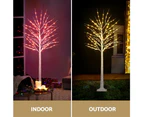 Jingle Jollys Christmas Tree 1.7m Twigs 120 RGB LED Lights Xmas Trees Decoration