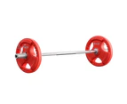 Everfit Barbells Set 36kg 120cm Dumbbell Barbell Plate Weight Lifting Home Gym Red Lifting