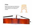 Harmonics CSW Solid Wood Cello Instrument with Carrying Bag, Bow, Rosin, 1/4