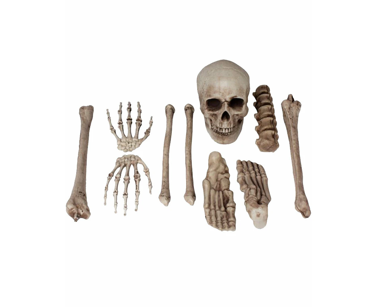 Bag o Bones 10 Piece Set