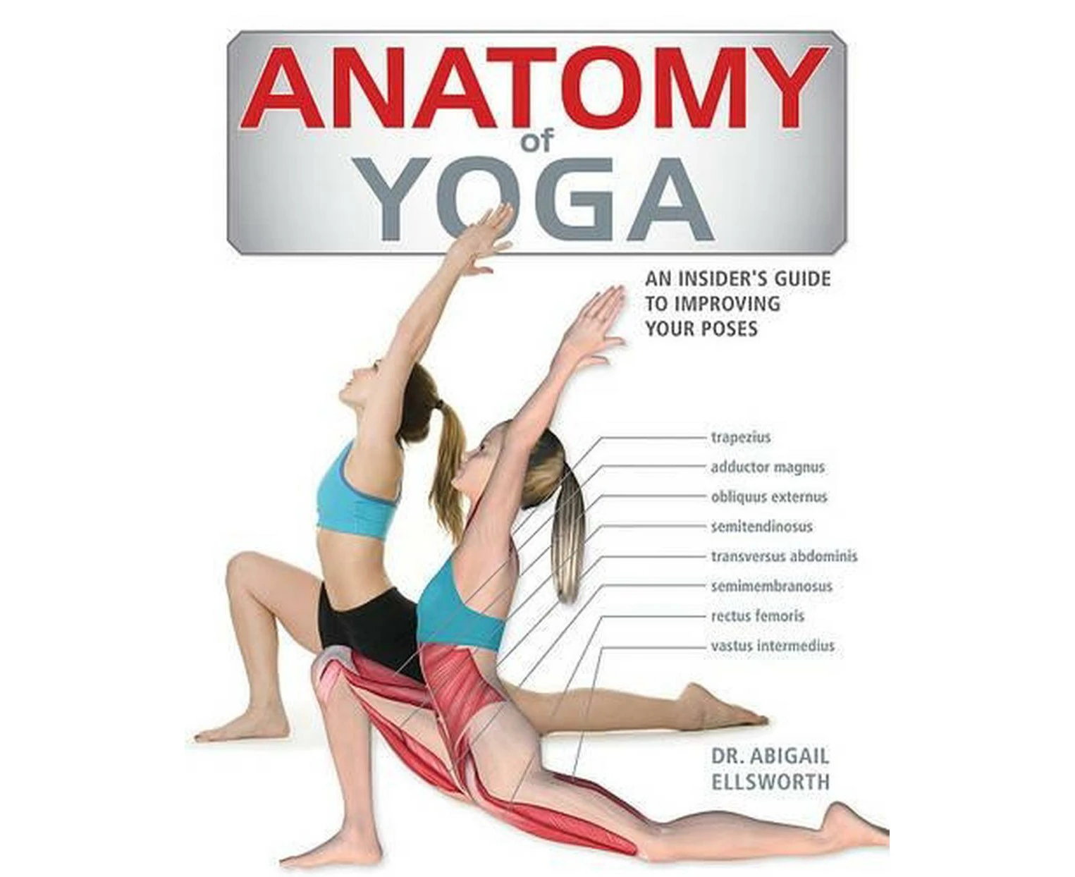 Anatomy of Yoga