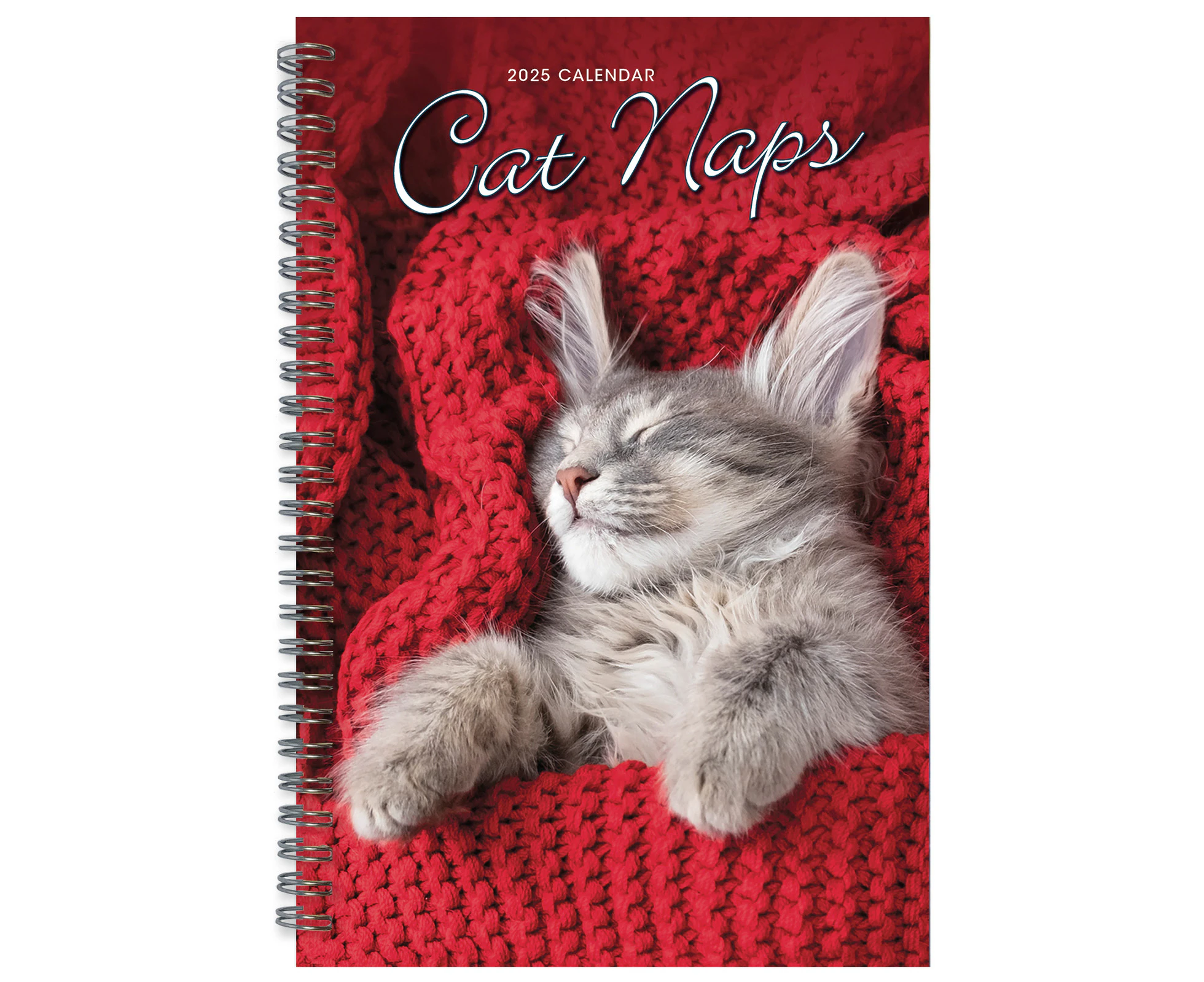 2025 Planner Cat Naps Weekly Sellers Publishing S41086