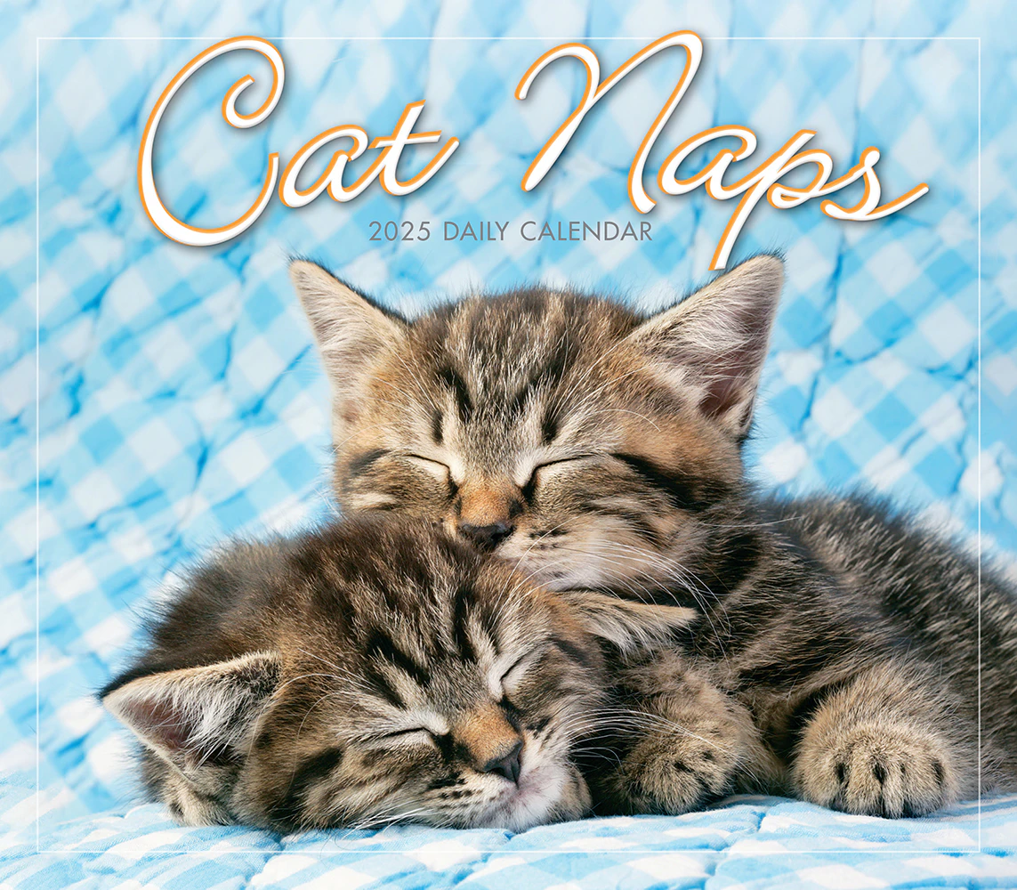 2025 Calendar Cat Naps Day-to-Day Boxed Sellers Publishing S40799