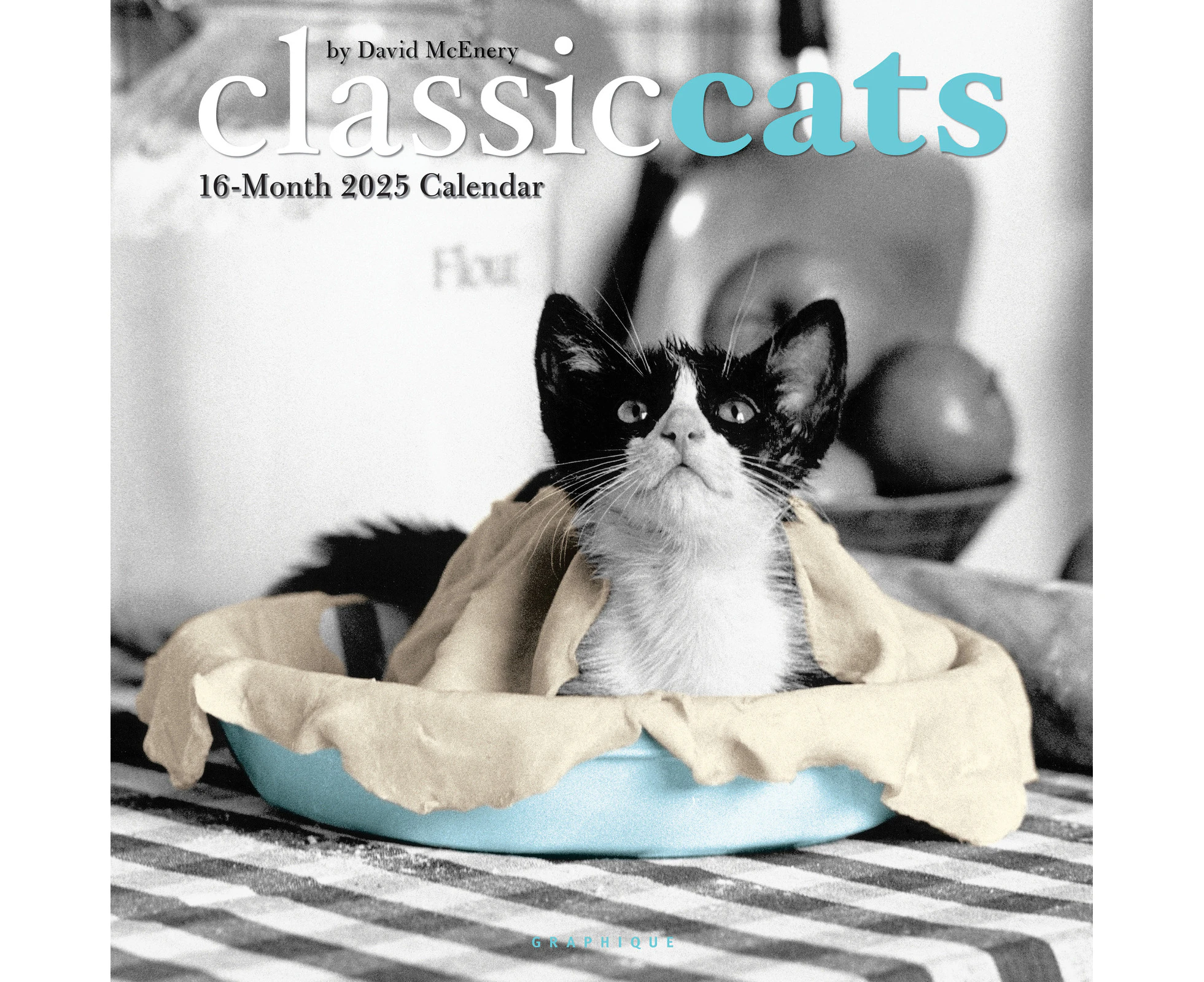 2025 Calendar Classic Cats 16-Month Square Wall Graphique GF34712