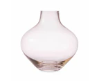 Small Glass Vase - Anko