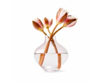 Small Glass Vase - Anko