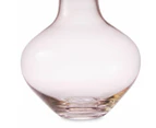 Small Glass Vase - Anko