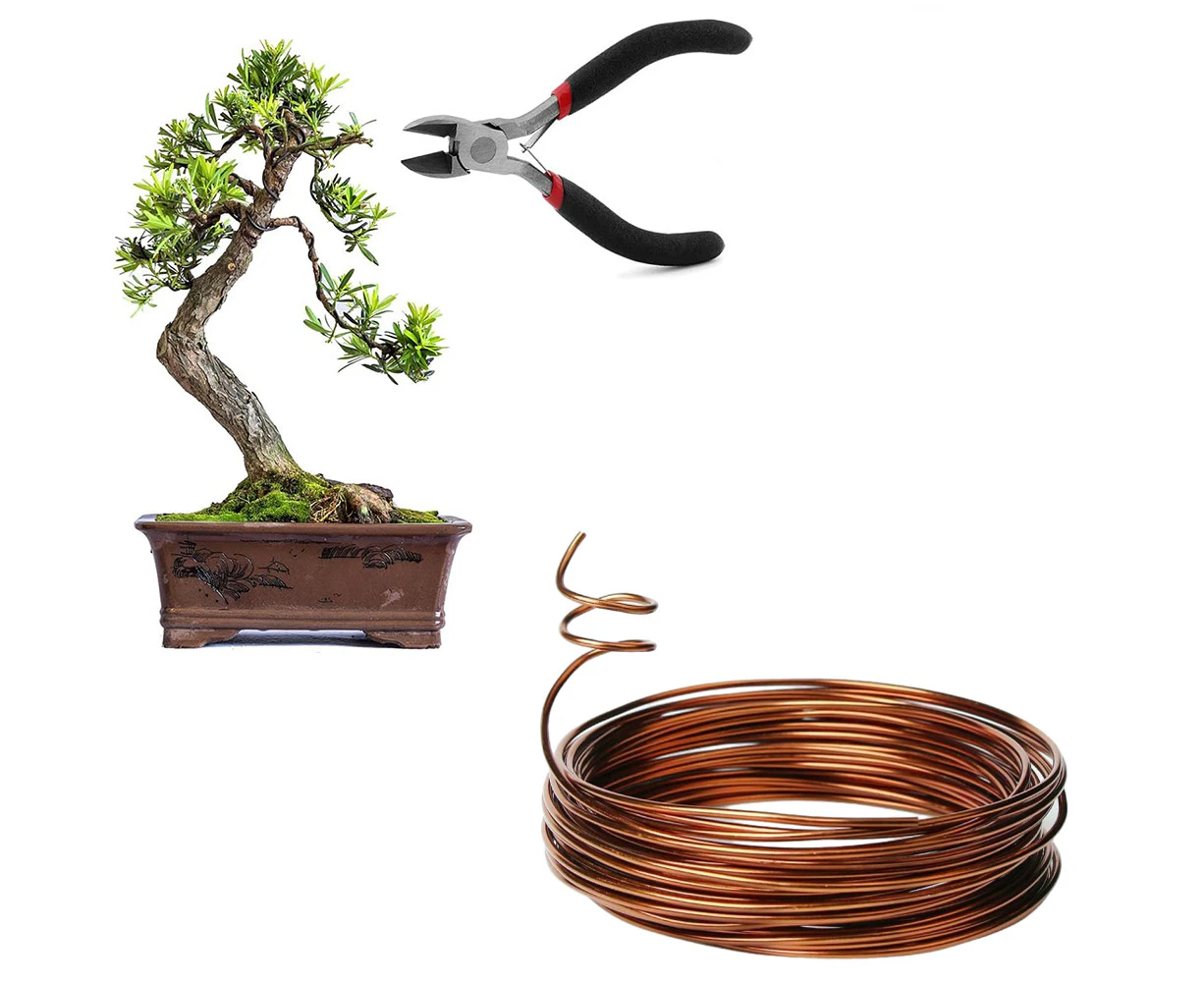 2 Rolls Bonsai Wires Anodized Aluminum Bonsai Training Wire-Coffee